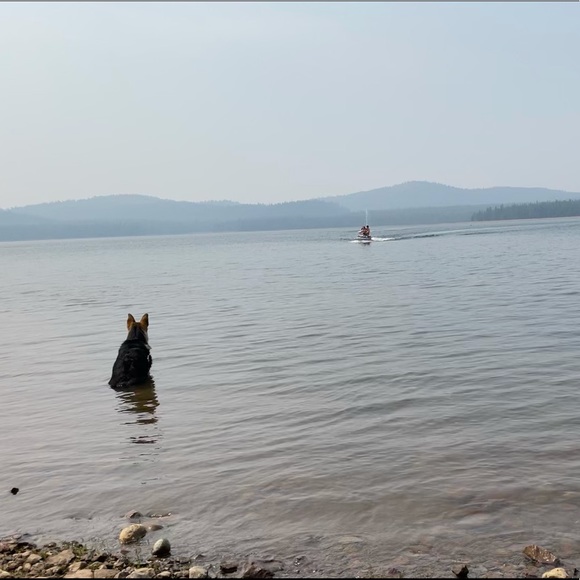 Meet your Posher, Susan - Picture 2 of 2